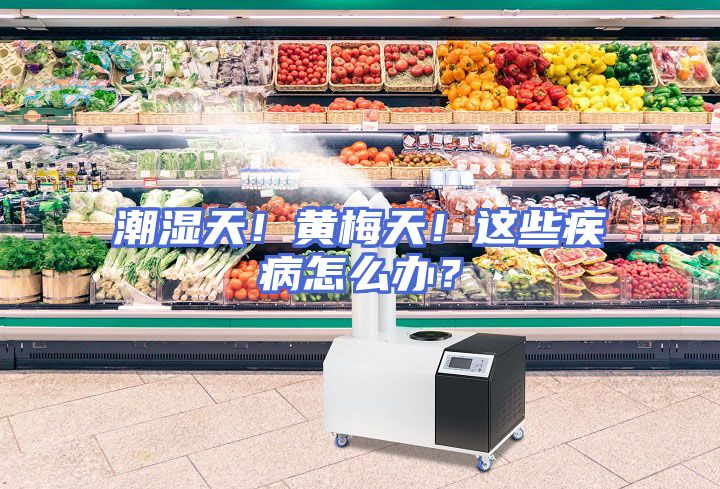 潮湿天！黄梅天！这些疾病怎么办？