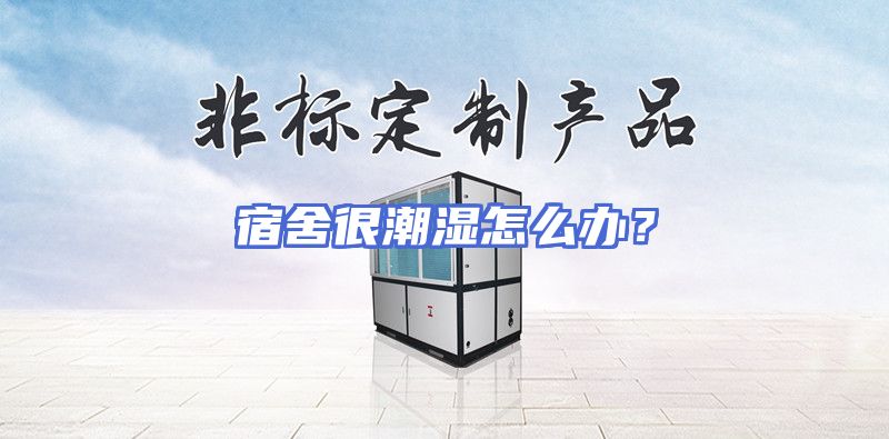 宿舍很潮湿怎么办？