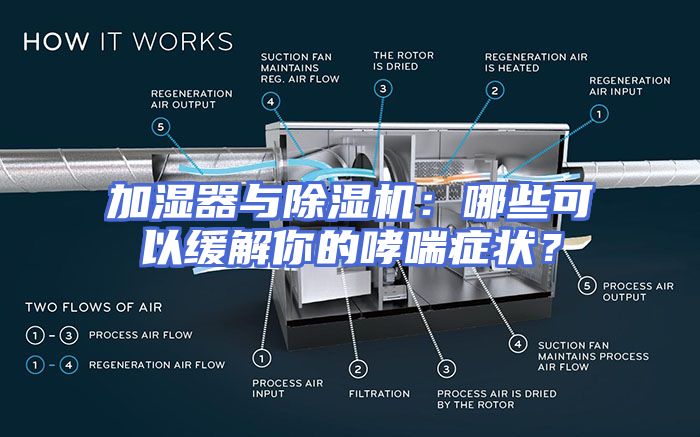 加湿器与除湿机：哪些可以缓解你的哮喘症状？