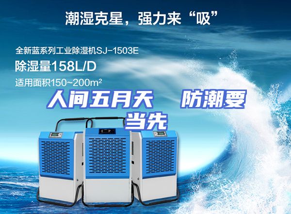 人间五月天  防潮要当先