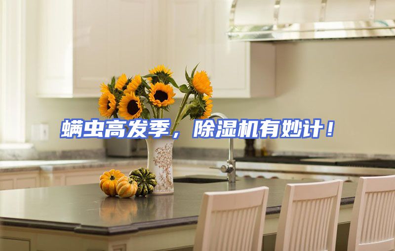 螨虫高发季，除湿机有妙计！