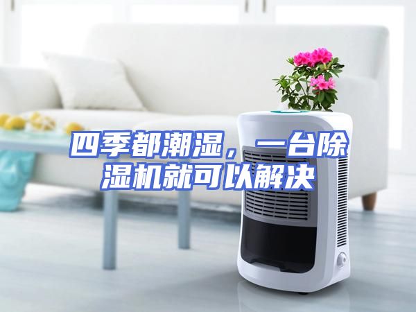 四季都潮湿，一台除湿机就可以解决