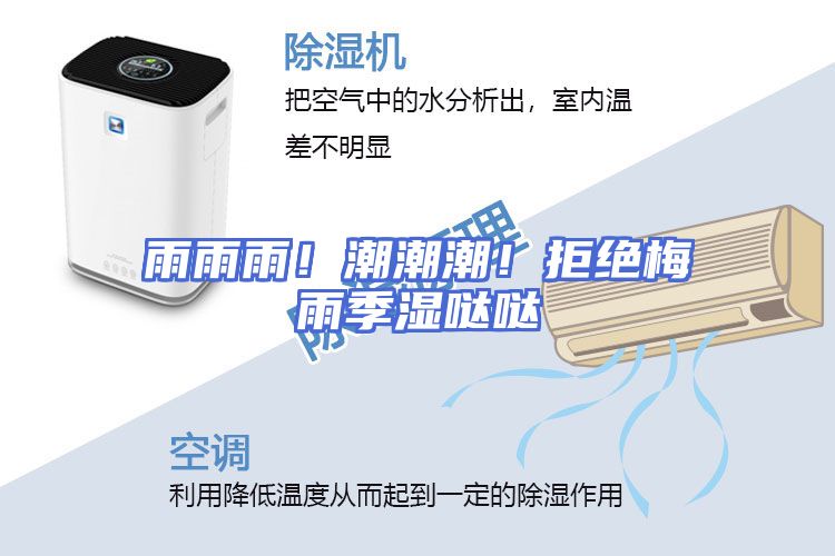 雨雨雨！潮潮潮！拒绝梅雨季湿哒哒
