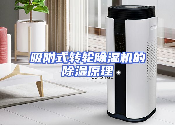 吸附式转轮除湿机的除湿原理