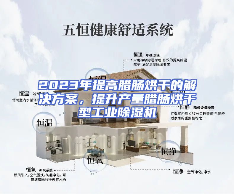 2023年提高腊肠烘干的解决方案，提升产量腊肠烘干型工业除湿机