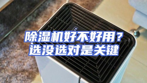 除湿机好不好用？选没选对是关键