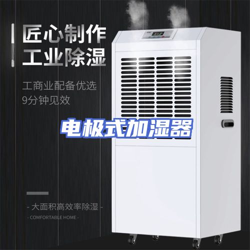 电极式加湿器