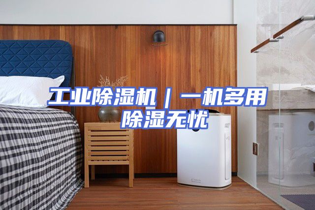 工业除湿机｜一机多用 除湿无忧