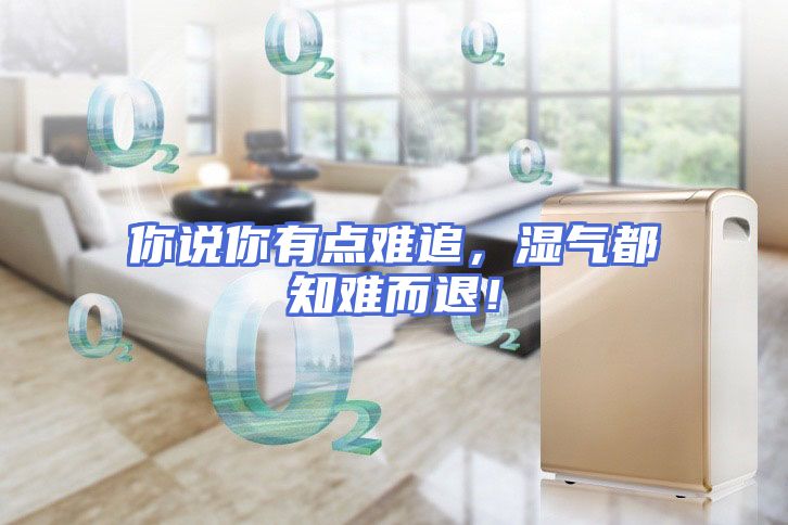 你说你有点难追，湿气都知难而退！
