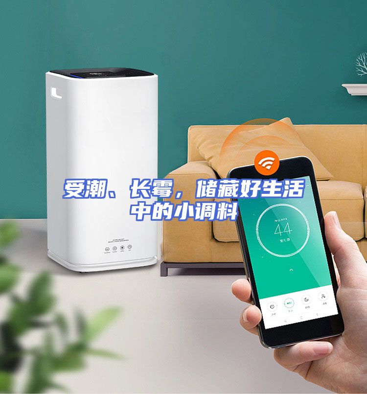受潮、长霉,储藏好生活中的小调料