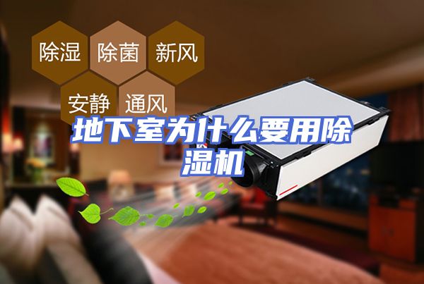 地下室为什么要用除湿机
