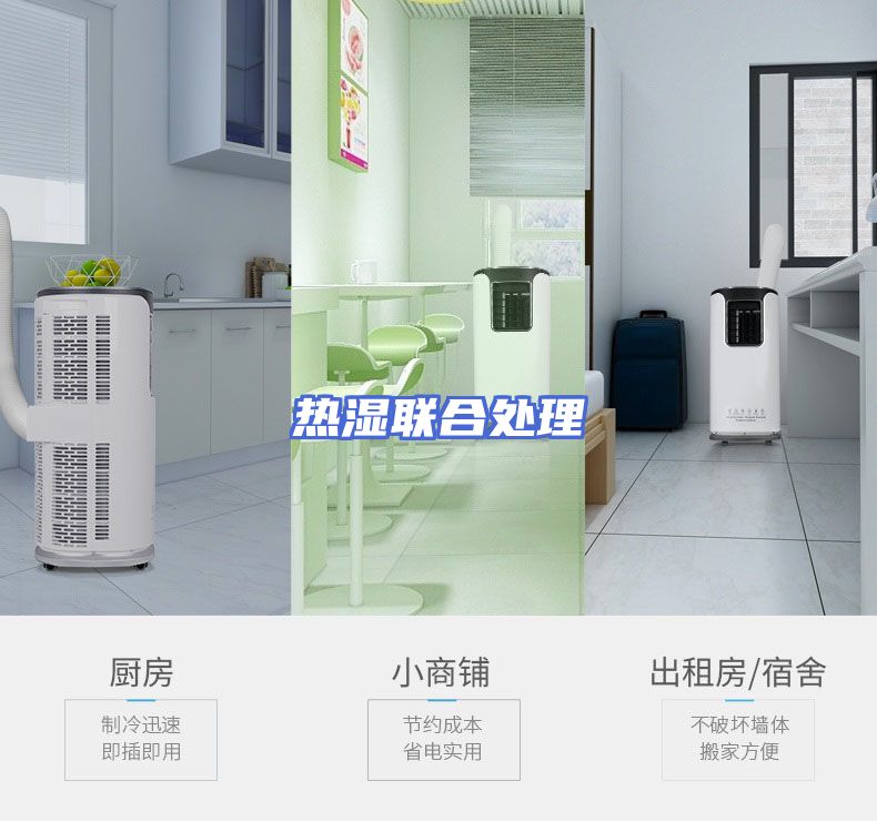 热湿联合处理