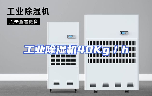 工业除湿机40Kg／h
