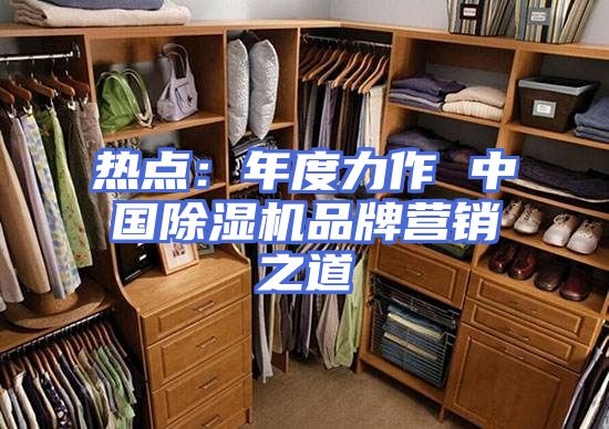 热点：年度力作 中国除湿机品牌营销之道
