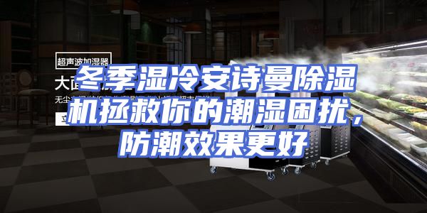 冬季湿冷安诗曼除湿机拯救你的潮湿困扰，防潮效果更好