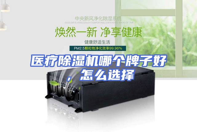 医疗除湿机哪个牌子好，怎么选择