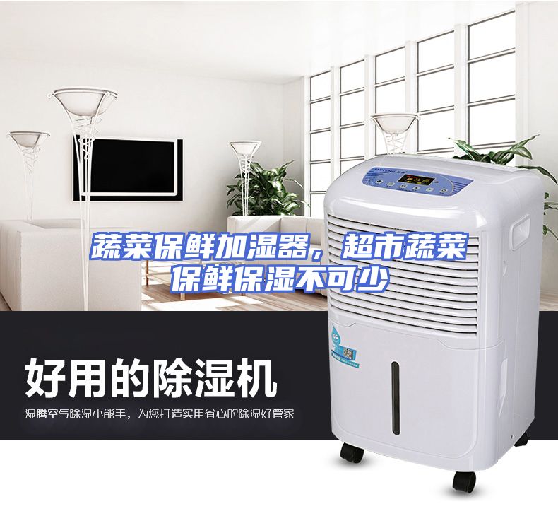 蔬菜保鲜加湿器，超市蔬菜保鲜保湿不可少