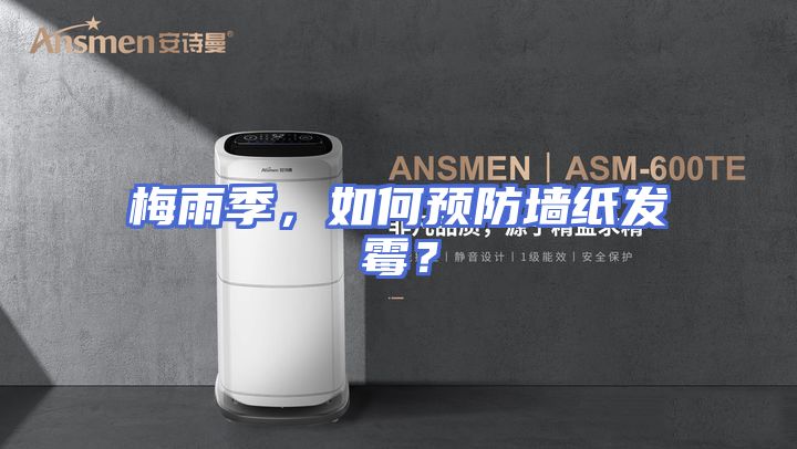 梅雨季，如何预防墙纸发霉？