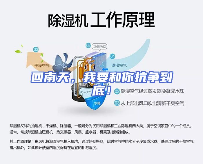 回南天，我要和你抗争到底！