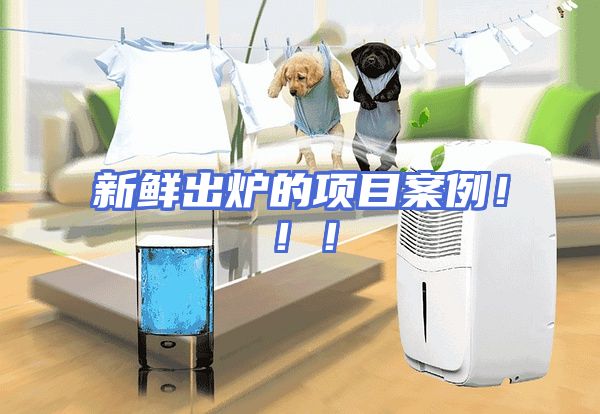 新鲜出炉的项目案例！！！