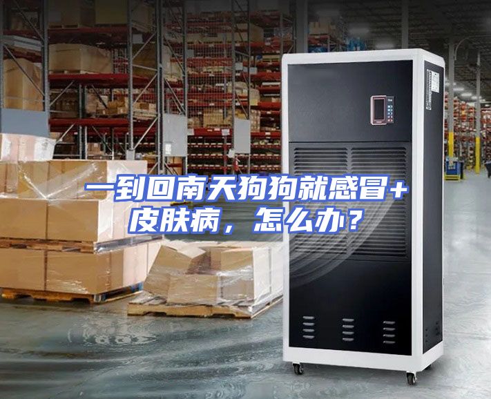 一到回南天狗狗就感冒+皮肤病，怎么办？