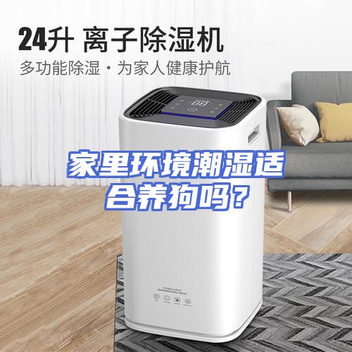 家里环境潮湿适合养狗吗？