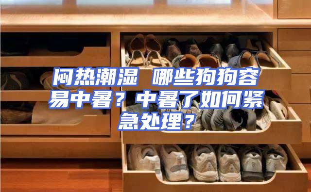 闷热潮湿 哪些狗狗容易中暑？中暑了如何紧急处理？