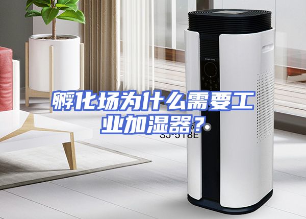 孵化场为什么需要工业加湿器？