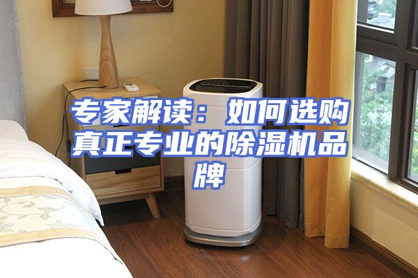 专家解读：如何选购真正专业的除湿机品牌
