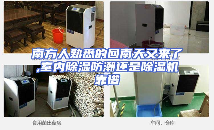 南方人熟悉的回南天又来了,室内除湿防潮还是除湿机靠谱