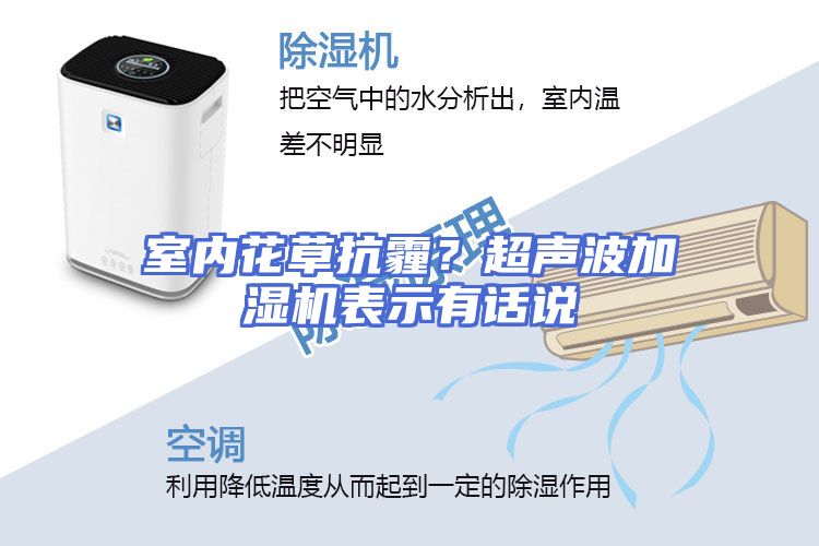 室内花草抗霾？超声波加湿机表示有话说