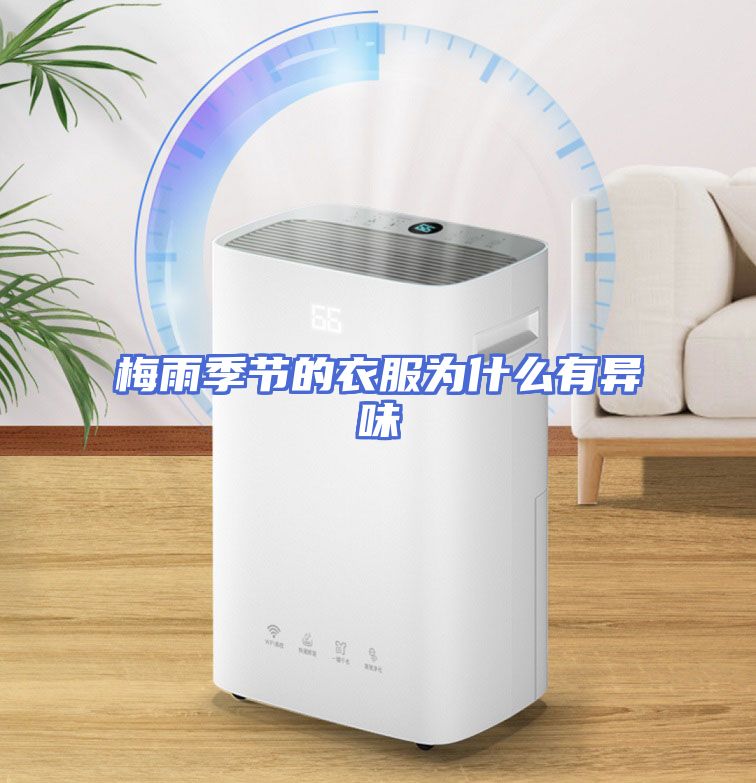 梅雨季节的衣服为什么有异味