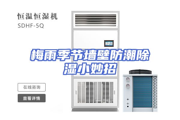 梅雨季节墙壁防潮除湿小妙招