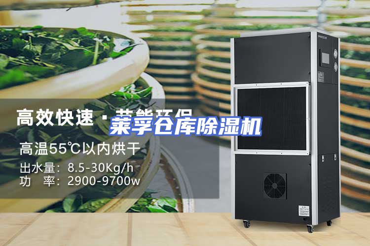 莱孚仓库除湿机