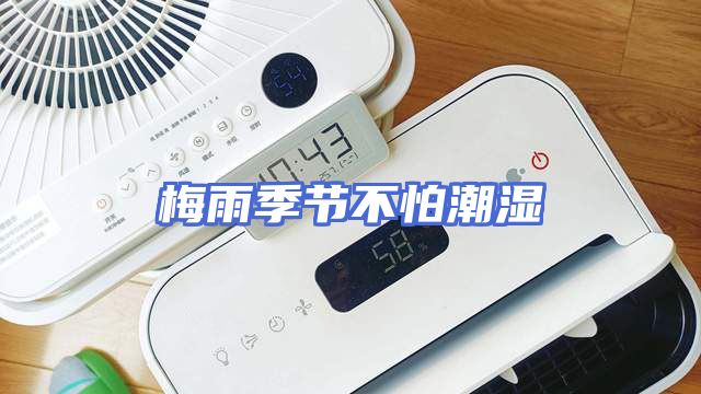 梅雨季节不怕潮湿