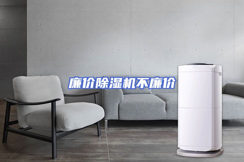 廉价除湿机不廉价