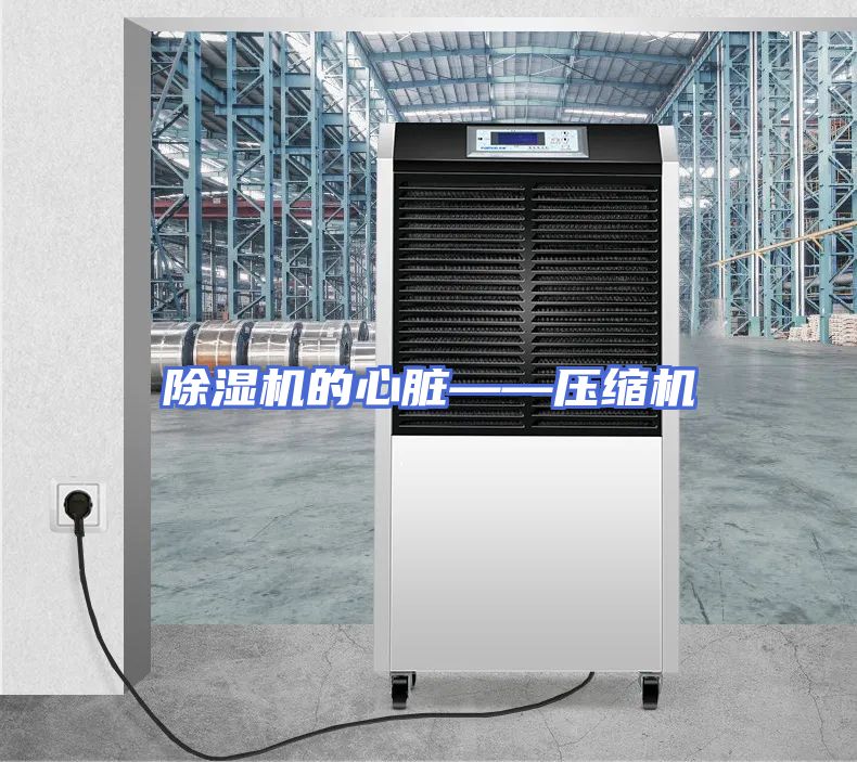 除湿机的心脏——压缩机