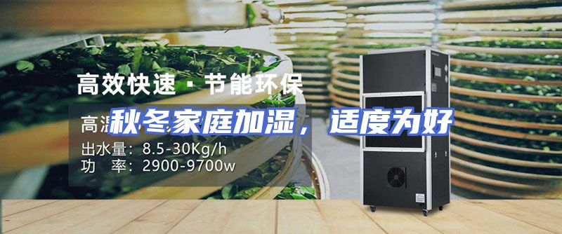 秋冬家庭加湿，适度为好
