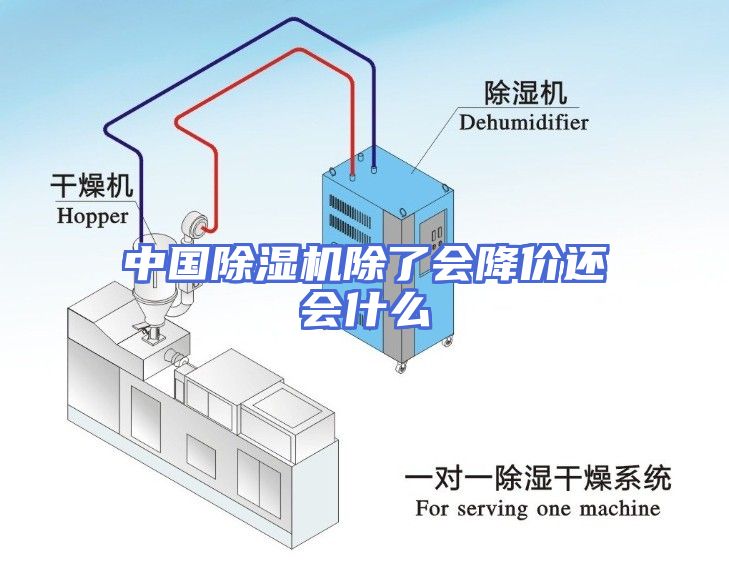 中国除湿机除了会降价还会什么