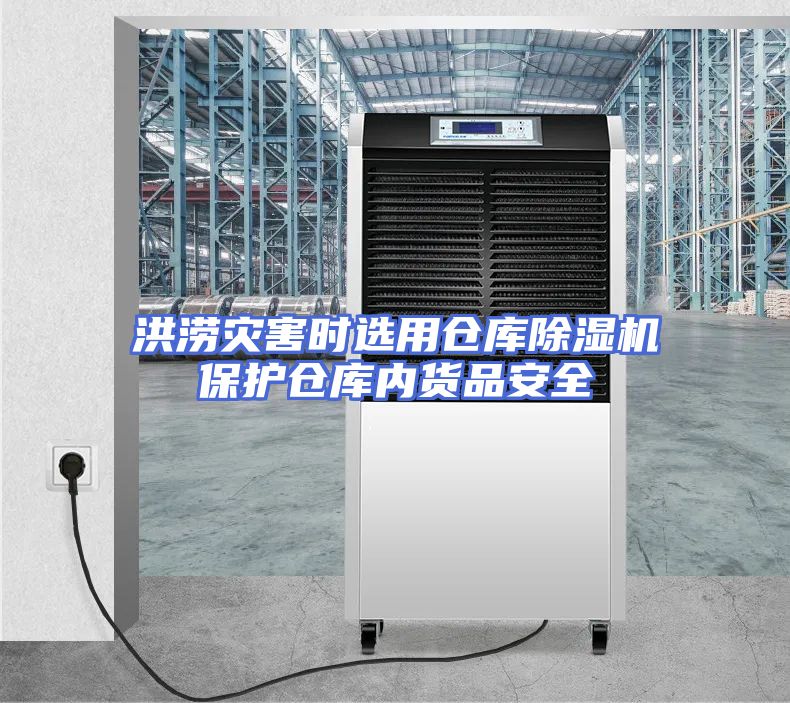 洪涝灾害时选用仓库除湿机保护仓库内货品安全
