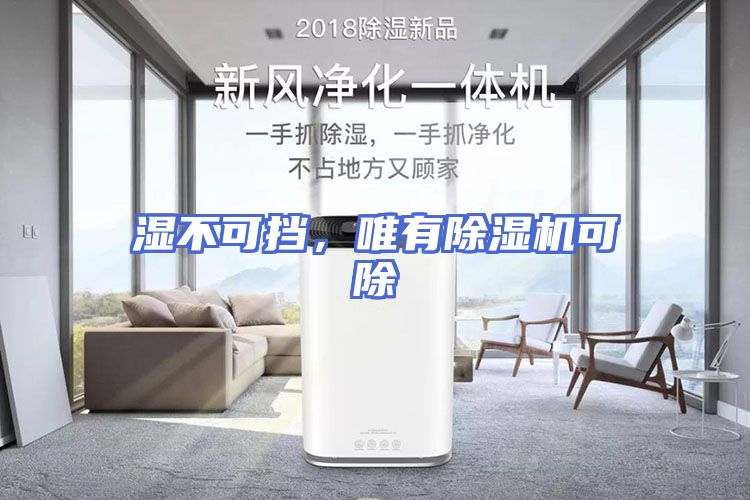 湿不可挡，唯有除湿机可除