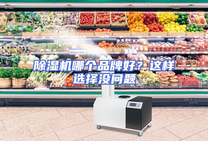 除湿机哪个品牌好？这样选择没问题