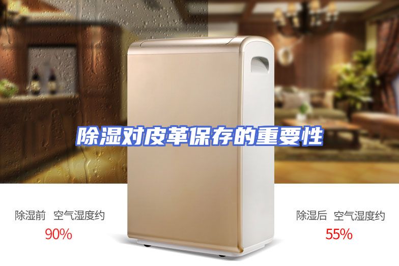 除湿对皮革保存的重要性