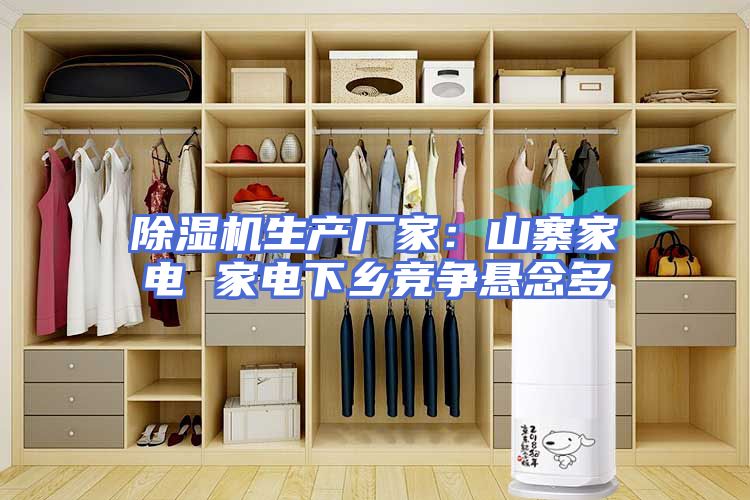除湿机生产厂家：山寨家电 家电下乡竞争悬念多