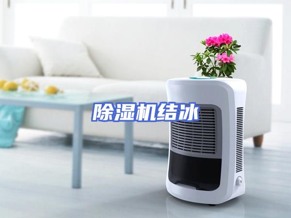 除湿机结冰