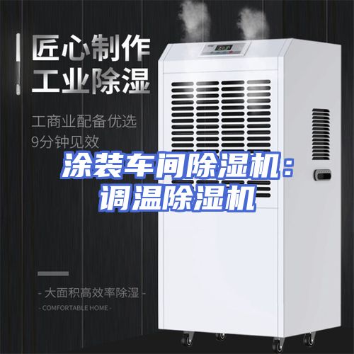 涂装车间除湿机：调温除湿机