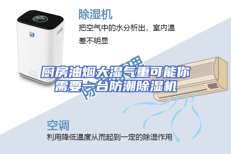 厨房油烟大湿气重可能你需要一台防潮除湿机