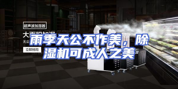 雨季天公不作美，除湿机可成人之美