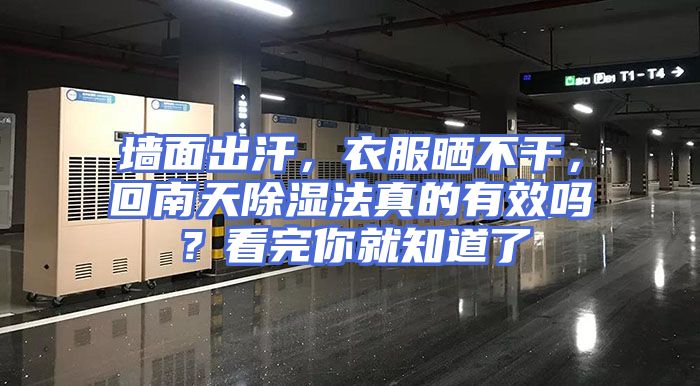 墙面出汗，衣服晒不干，回南天除湿法真的有效吗？看完你就知道了