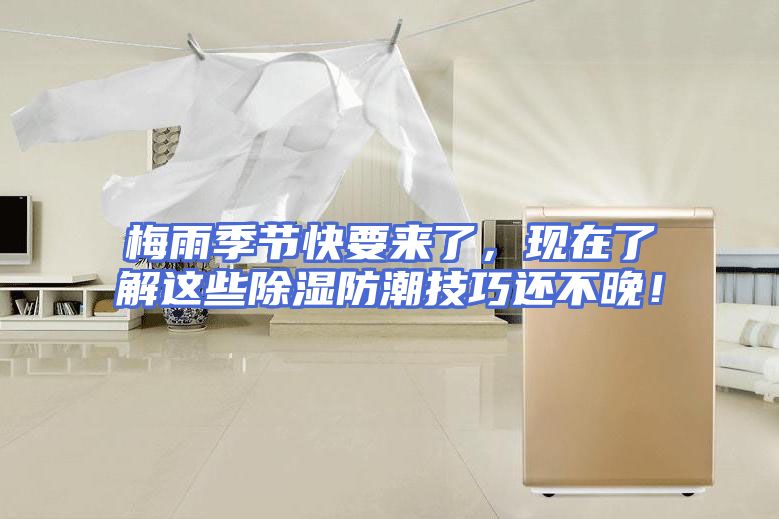 梅雨季节快要来了，现在了解这些除湿防潮技巧还不晚！